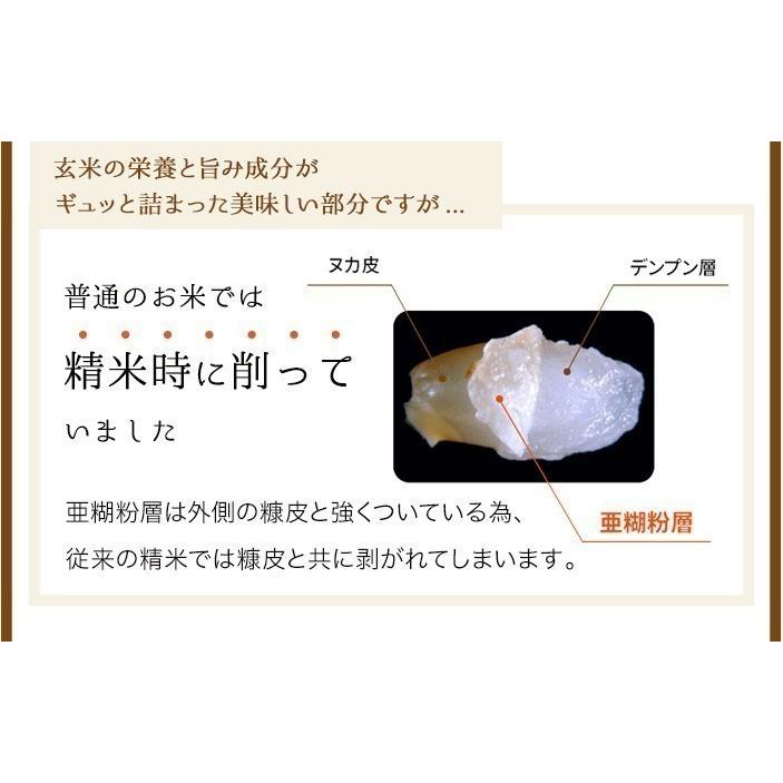 精米工場直送 金芽米 タニタ食堂の金芽米 9kg (4.5kg×2袋) 無洗米 令和5年産 送料無料 きんめまい カロリーオフ　糖質オフ　｜toyorice｜06