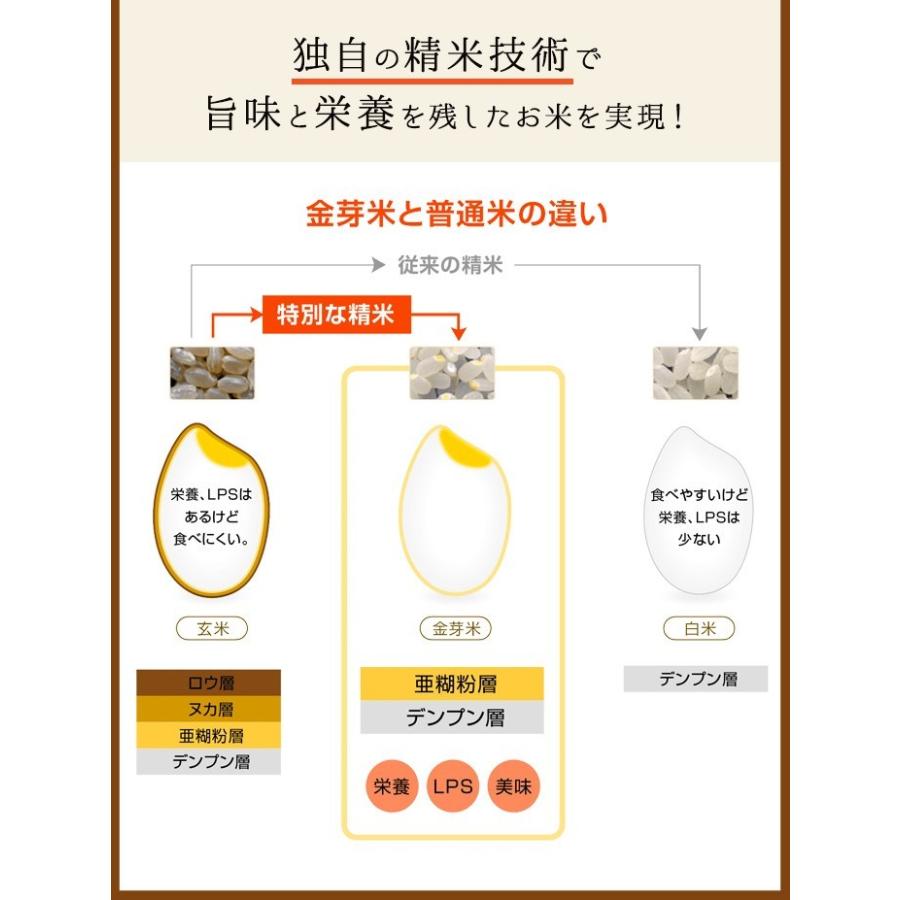 金芽米 無洗米 長野県産 あきたこまち 5kg 令和5年産 送料無料 きんめまい｜toyorice｜06