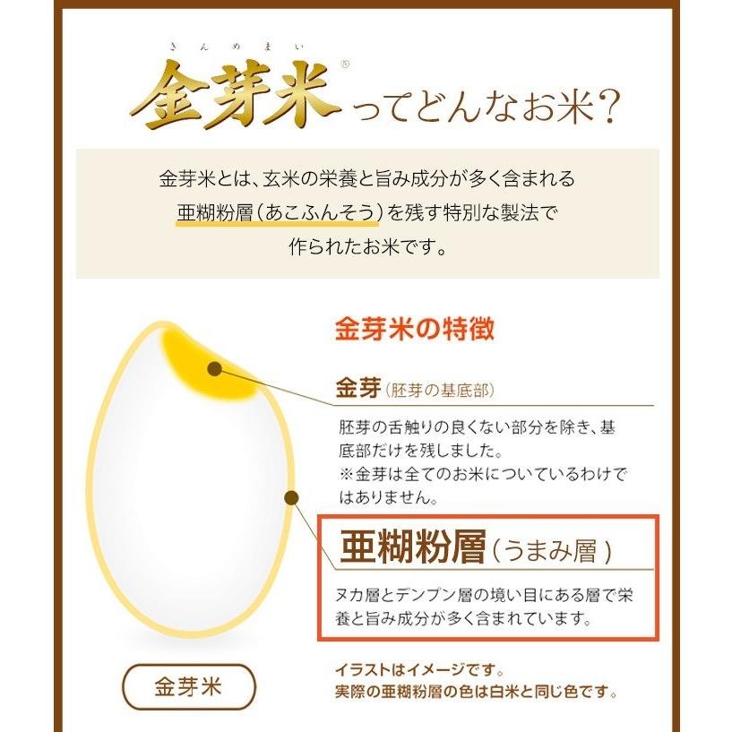 金芽米 無洗米 ハイセレクト 4.5kg 令和5年産 送料無料 きんめまい　国産　ブレンド米｜toyorice｜06