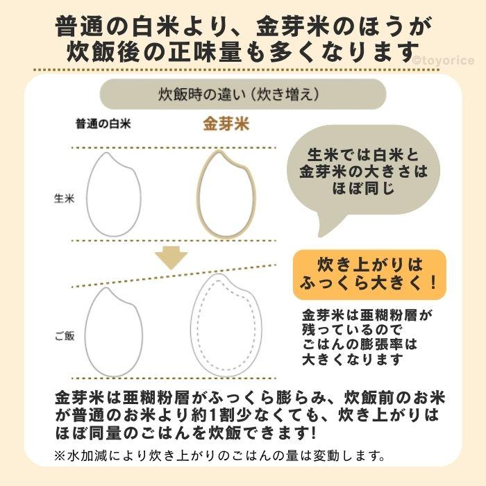 金芽米 ハイセレクト 9kg (4.5kg×2袋) 無洗米 送料無料 きんめまい
