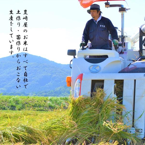 令和6年産　玄米　10kg　茨城県産　ミルキークイーン　ほたる｜toyosakiya｜03