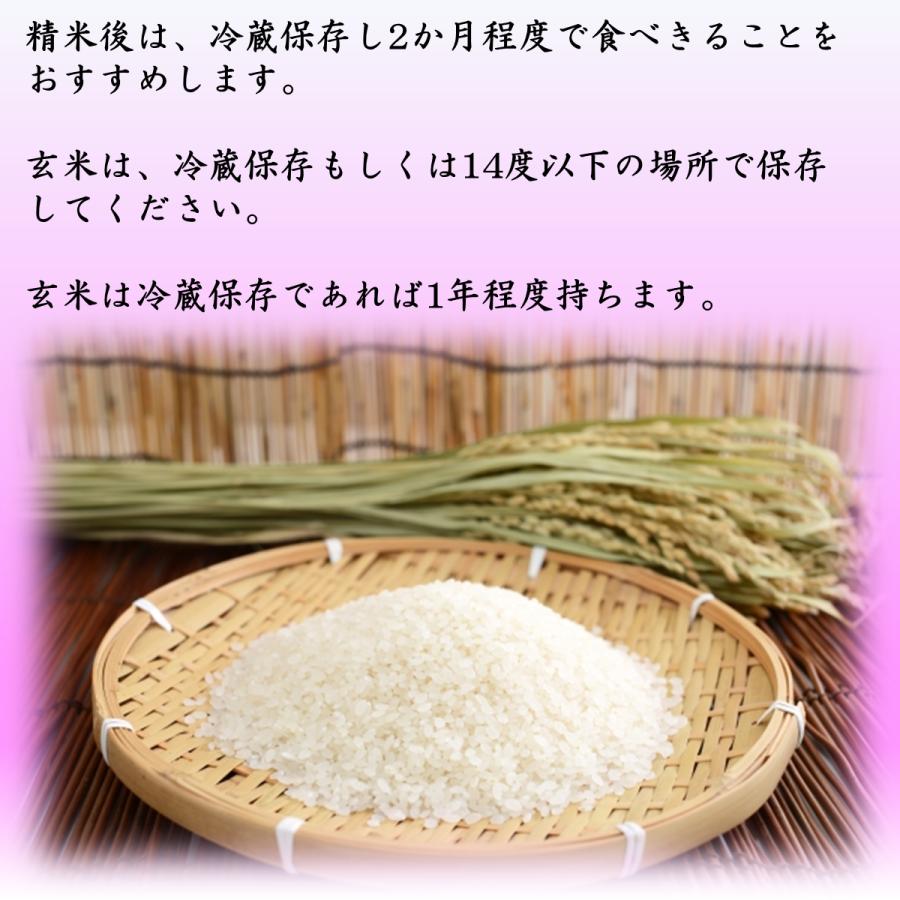 お米　３０kg　ミルキークイーン　玄米　ギフト　熨斗　お歳暮　お年賀　お中元　内祝い　ご挨拶　農家直送　茨城県産　ほたる　令和6年産｜toyosakiya｜04