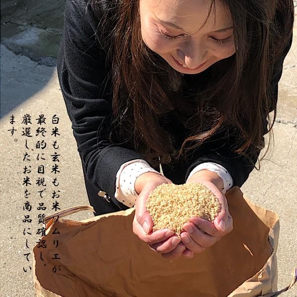 令和5年産　玄米　10kg　コシヒカリ　茨城県産　風のひかり｜toyosakiya｜06