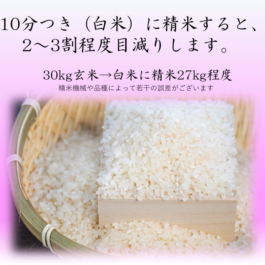 お米　３０kg　コシヒカリ玄米　30kg　ギフト　熨斗　お歳暮　お年賀　お中元　内祝い　ご挨拶　農家直送　茨城県産　風のひかり　令和5年産｜toyosakiya｜03