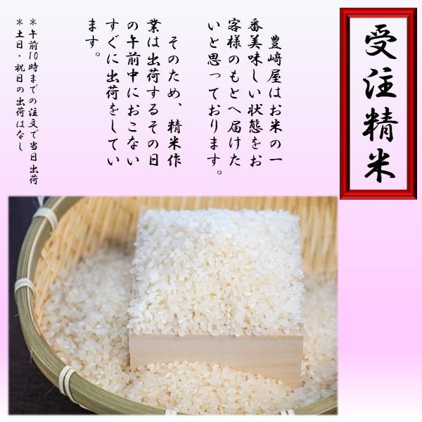 令和6年産　お米　10kg　白米　食べくらべ　コシヒカリ　ミルキークイーン　ギフト　熨斗　ほたる　風のひかり　｜toyosakiya｜07