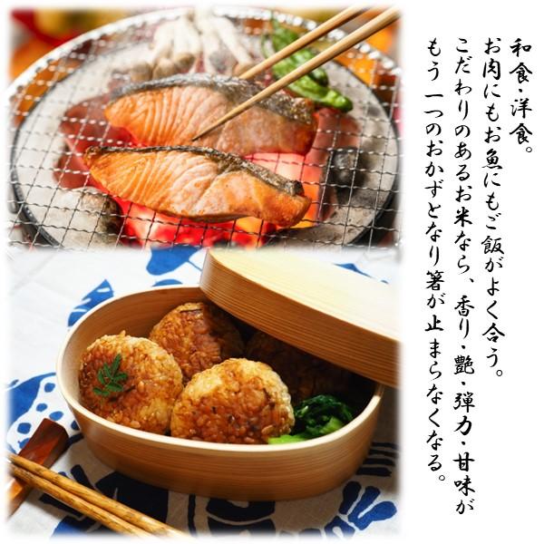 茨城県産 こしひかり ミルキークイーン 合計１０kg ミルキークイーン 米 10kg 無洗米「6年産 茨城ミルキークイーン