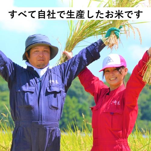 ミルキークイーン 10kg 定期購入 米 精米 茨城県産 単一原料米 : 豊崎