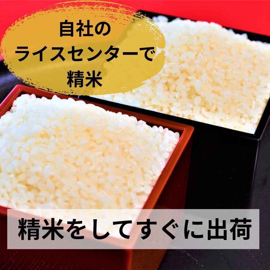 ミルキークイーン 10kg 定期購入 米 精米 茨城県産 単一原料米 : 豊崎