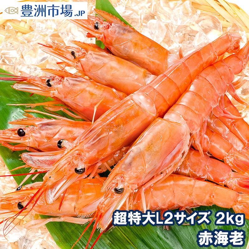 赤海老 2kg 特大L2 40〜60尾 業務用1箱 : 豊洲市場.jp うに かに