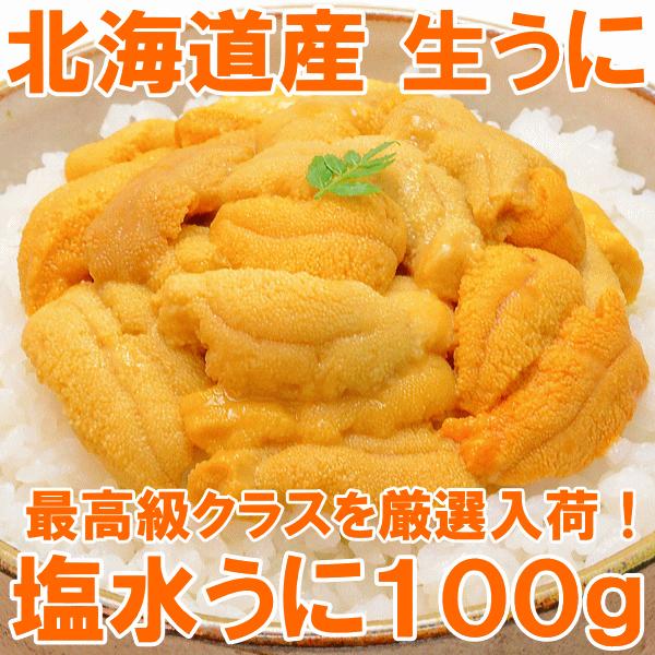 最安値級価格 塩水うに 北海道産生 生ウニ 生うに １００ｇ 日時指定不可 ウニ うに 雲丹 Cisama Sc Gov Br