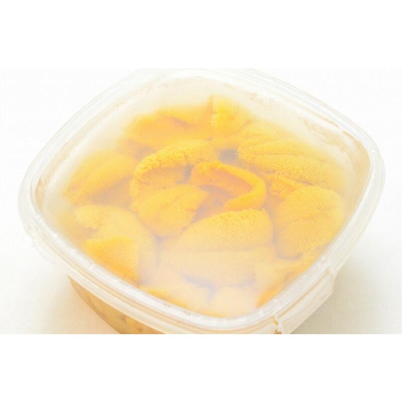 塩水うに(北海道産 生ウニ 生うに 300g・100g×3パック 塩水うに(北海道産 生ウニ 生うに 300g・100g×3パック