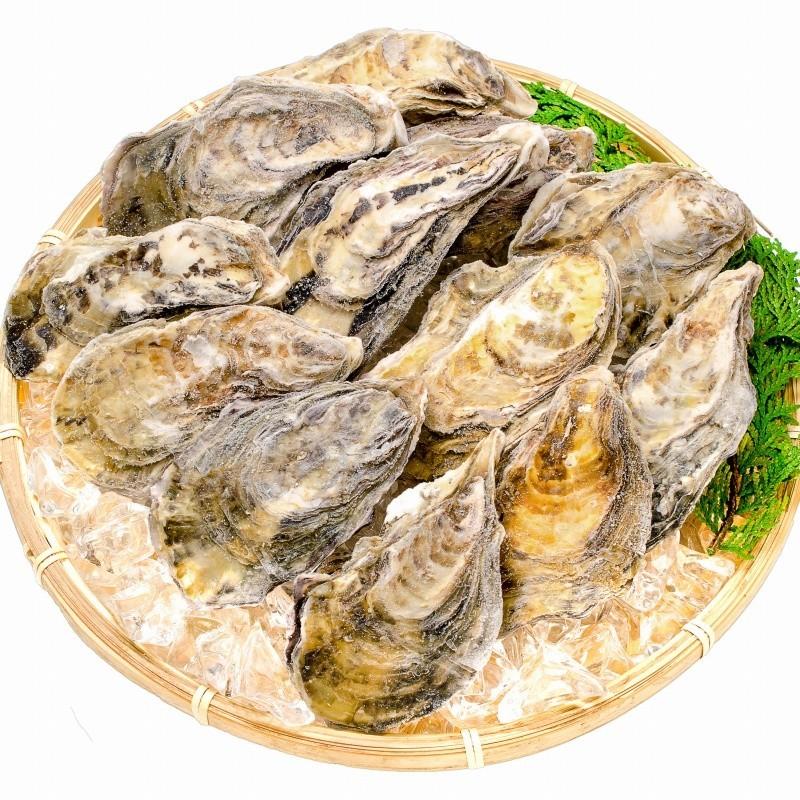 生牡蠣 殻付き 生食用カキ 12個入り 冷凍殻付き牡蠣 生食用 Kara Kaki 1p 豊洲市場 Jp マグロ ウニ カニ通販 通販 Yahoo ショッピング
