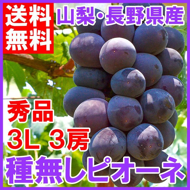 ピオーネ 山梨県 長野県産 種なし ピオーネ 1箱 2kg前後 650g前後×3房 3L サイズ 最高級特秀ランク （ぶどう ブドウ 葡萄）｜toyosushijou