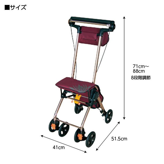 幸和製作所 テイコブ ナノン DX CPS02 ワインレッド シルバーカー