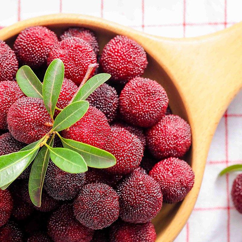 超可爱冷凍楊梅 冷凍ヤマモモ 山桃 冷凍果物 中国産 黒いダイヤモンド