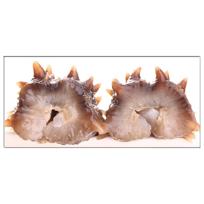 全ての 北海道産a級品 なまこ ナマコ 乾燥なまこ 1kg入り 2mサイズ 5 11g B2m1000 東洋ツバメの巣 通販 Yahoo ショッピング 安い Dp3akb Jatengprov Go Id