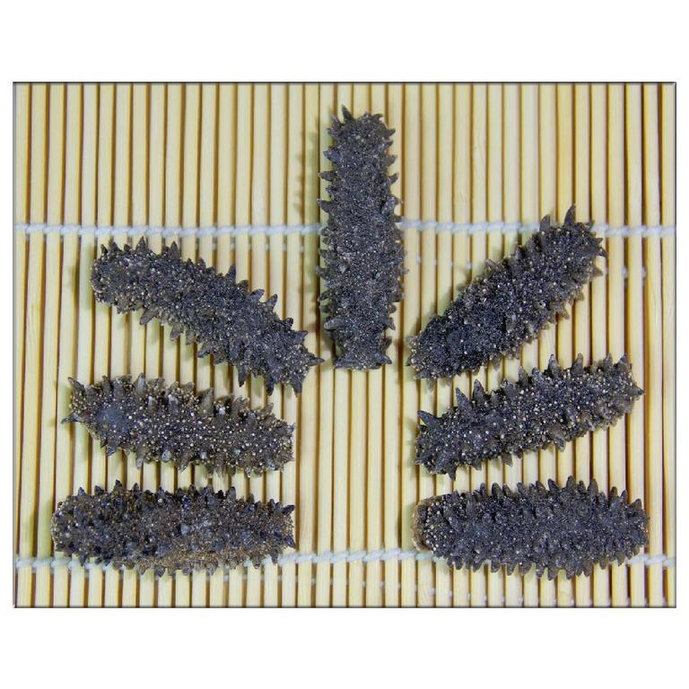 乾燥なまこ その他魚介類 海鮮類 北海道産 ナマコ なまこ Lサイズ 11g以上 贈答用 贈答用 400g入り Ab級品