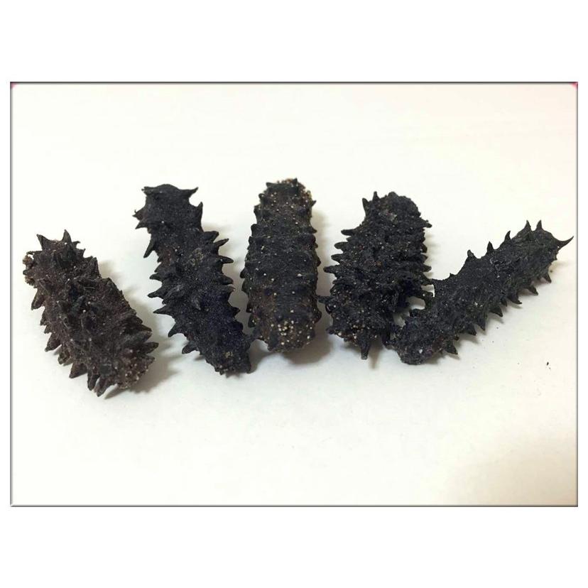 最新情報 北海道産 B級品 乾燥なまこ なまこ ナマコ 250ｇ入り 2sサイズ 3g以下 自家用 訳あり品 キズあり 形崩 簡易包装 2s250 東洋ツバメの巣 通販 Yahoo ショッピング 楽天カード分割 Wjhni Com