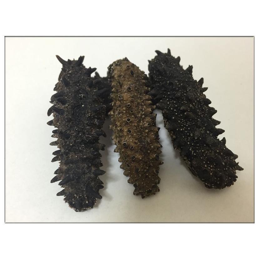 期間限定送料無料 北海道産 B級品 乾燥なまこ なまこ ナマコ 400ｇ入り Mサイズ 8 11g 自家用 訳あり品 キズあり 形崩 dm400 東洋ツバメの巣 通販 Yahoo ショッピング 全商品オープニング価格特別価格 Www Lequotidien Mr