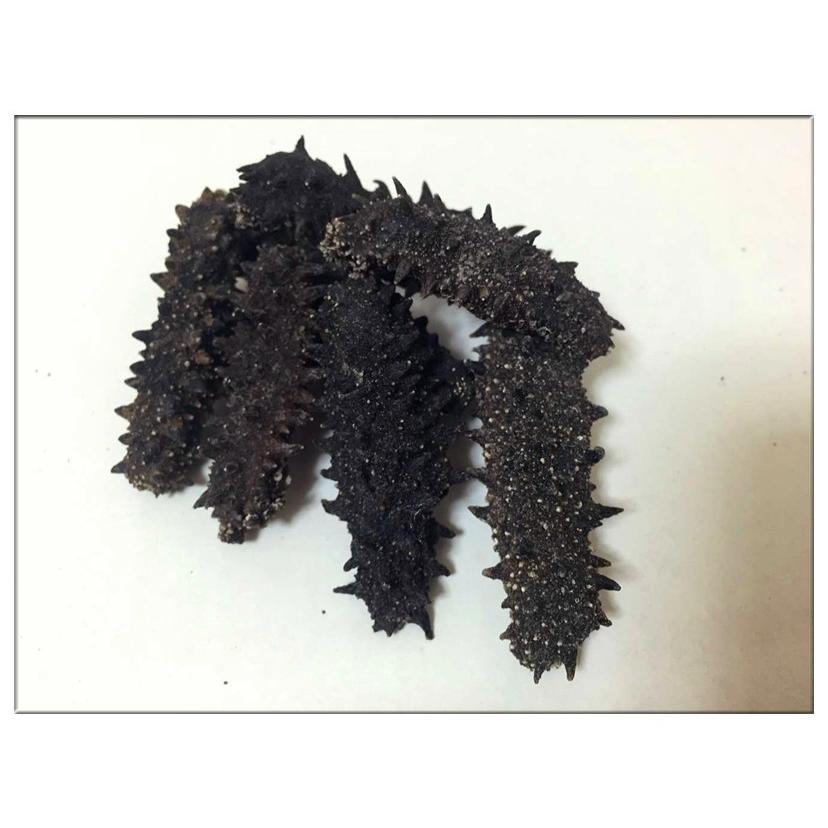 北海道産乾燥ナマコ　訳あり　B級品　混合サイズ　(中〜小)合計261g 北海道産B級品 乾燥なまこ なまこ ナマコ 250g入り Sサイズ 5g以下