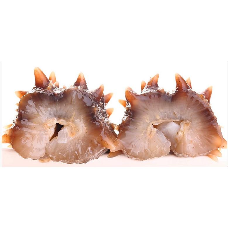 好評 北海道産a級品 なまこ ナマコ 乾燥なまこ 350g入り Lサイズ 11g以上 Bl350 東洋ツバメの巣 通販 Yahoo ショッピング 交換無料 Sipeka Smknpuspahiang Sch Id