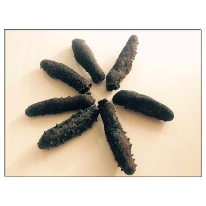 関西産 乾燥なまこナマコ100g C級品 訳あり品 キズあり海鼠 海参
