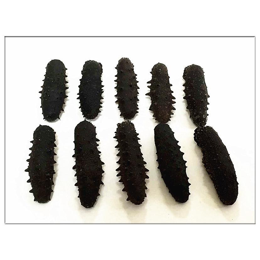 乾燥なまこ(200g) 青森県産 乾燥ナマコ 200g