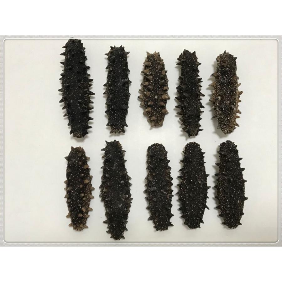 青森産 A級品乾燥なまこ ナマコ なまこ 1kg 9 15g入 Lサイズ Qshsl1000 東洋ツバメの巣 通販 Yahoo ショッピング