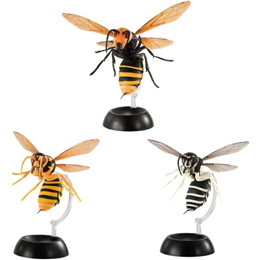 すずめばち いきもの大図鑑 ガシャポン 全3種セット 1 オオスズメバチ 2 キイロスズメバチ 3 クロスズメバチ Suzumebachi 3p Toyscramps 通販 Yahoo ショッピング