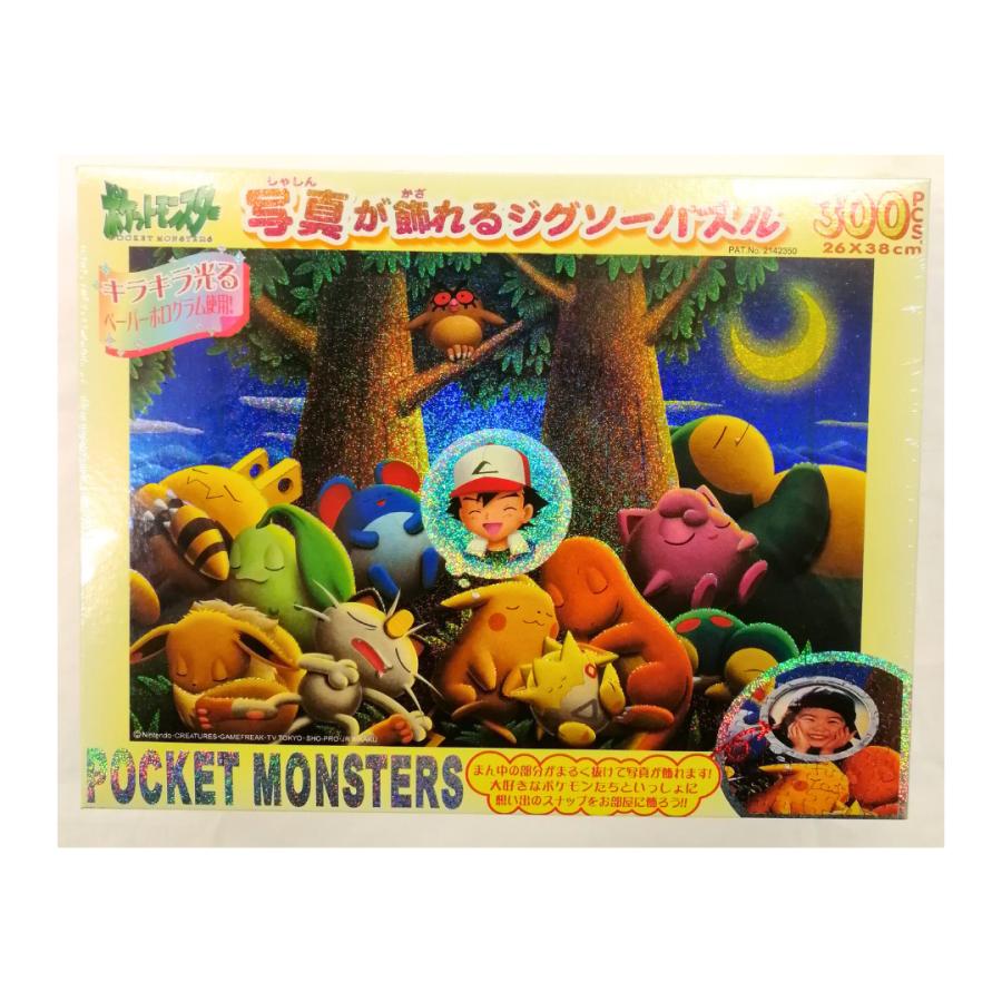 関東、中部地方 送料無料！】ポケットモンスター キラキラ光る☆写真が