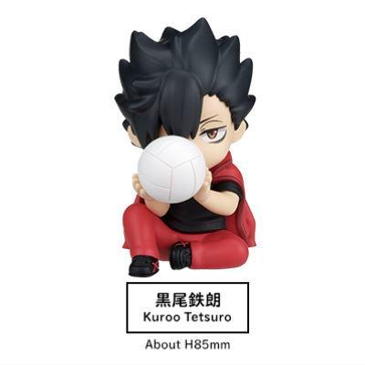 タカラトミーアーツ PERIHAPI Hide ＆ Seek かくれんぼ ハイキュー