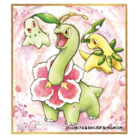 ポケットモンスター ポケモン 色紙art2 1 チコリータ ベイリーフ メガニウム ネコポス配送対応 トイサンタ Paypayモール店 通販 Paypayモール