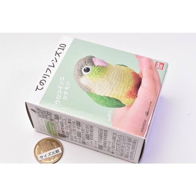 すてぱん様オーダーページ 猫 ウロコインコ すてぱん様オーダーページ 猫 ウロコインコ