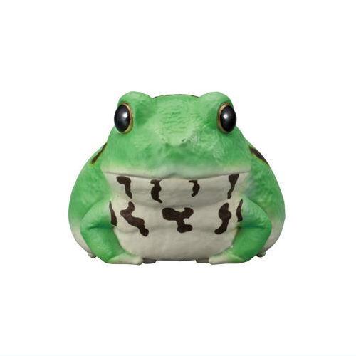 BANDAI（バンダイ） てのりフレンズ12 爬虫類・両生類 [9.チャコガエル