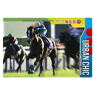 BANDAI（バンダイ） サラブレッドホースコレクション ツインウエハース