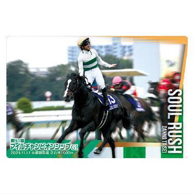 BANDAI（バンダイ） サラブレッドホースコレクション ツインウエハース