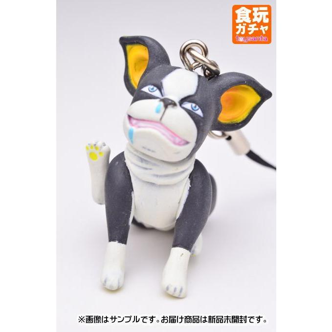 Tvアニメ ジョジョの奇妙な冒険 スーパーストラップコレクション イギー C イギーc ネコポス不可 191 トイサンタ Paypayモール店 通販 Paypayモール