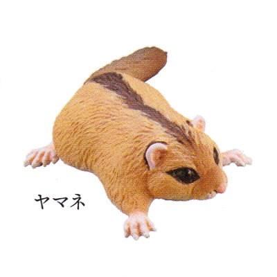 カプセルQミュージアム 日本の動物コレクション8 日本アルプス/雷鳥が棲む岳 ［58.ヤマネ］【ネコポス配送対応】●  :g-30yr000dw9-004:トイサンタ ヤフー店 - 通販 - Yahoo!ショッピング