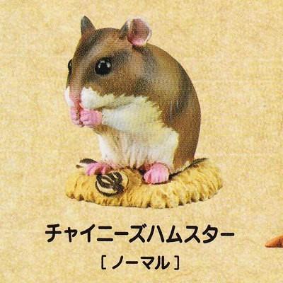 (未使用･未開封品)カプセルCLASSICA ハムスターズランチ[ひま種]　復刻版 ［12.クロハラハムスター］(単品) Amazon.co.jp: カプセルCLASSICA ハムスターズランチ ひま種