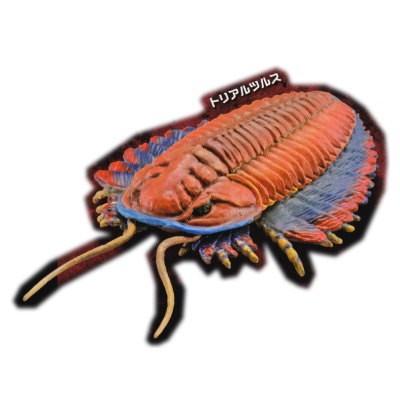 カプセルQミュージアム 古生代 生命大爆発（ビックバン） ［5.トリアルツルス］●【ネコポス配送対応】(19406)  :g-38dr000ez2-005:トイサンタ ヤフー店 - 通販 - Yahoo!ショッピング