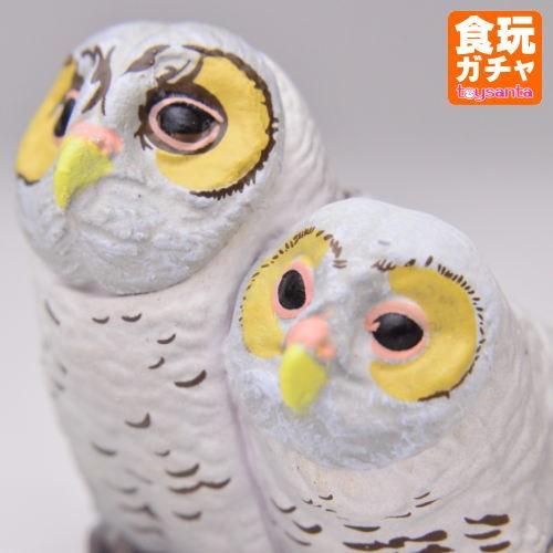 海洋堂 カプセルQミュージアム 福をよぶ フクロウ大全2 ［5.フクロウ
