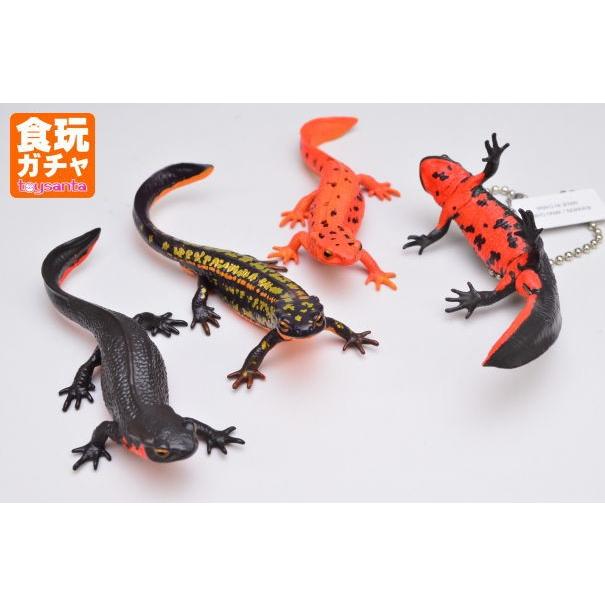 送料無料 ネイチャーテクニカラーmono Plus イモリとオオサンショウウオ ボールチェーン マグネット 4種セット アカハライモリ3種 シリケンイモリ1種 トイサンタ Paypayモール店 通販 Paypayモール