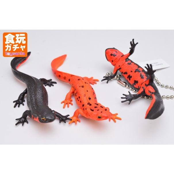 送料無料 ネイチャーテクニカラーmono Plus イモリとオオサンショウウオ ボールチェーン マグネット アカハライモリ3種セット 0304sa ネコポス配送 トイサンタ Paypayモール店 通販 Paypayモール