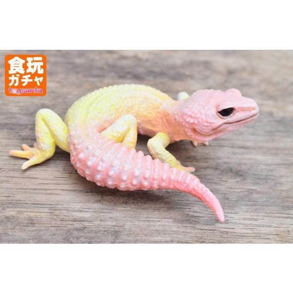 海洋堂 カプセルQミュージアム ヤモリ大全2 クレステッドゲッコー ［5