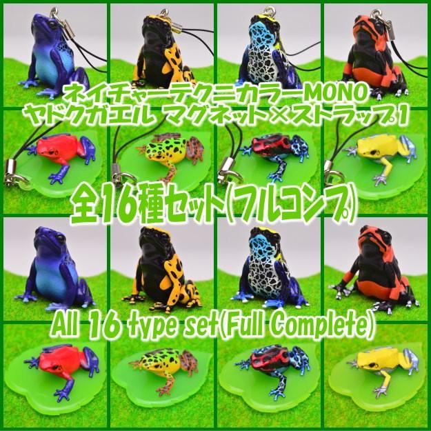 ヤドクガエル1 マグネット ストラップ ネイチャーテクニカラー フルコンプ