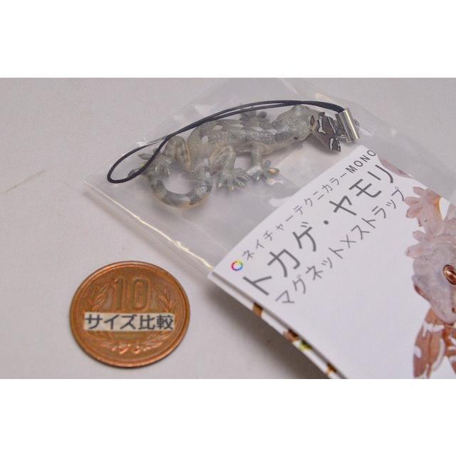 ネイチャーテクニカラー　MONO トカゲ・ヤモリ　マグネット　ストラップ 新商品のお知らせ】 – ネイチャーテクニカラー公式