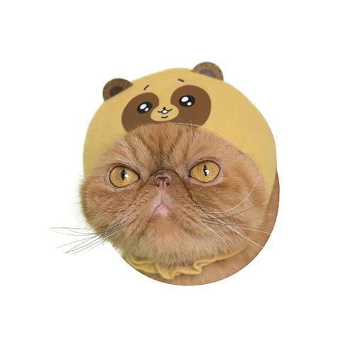 ねこのかぶりもの第27弾 かわいいかわいい ねこのかぶりもの タヌキとキツネ 4 かわいいタヌキ ネコポス配送対応 トイサンタ Paypayモール店 通販 Paypayモール
