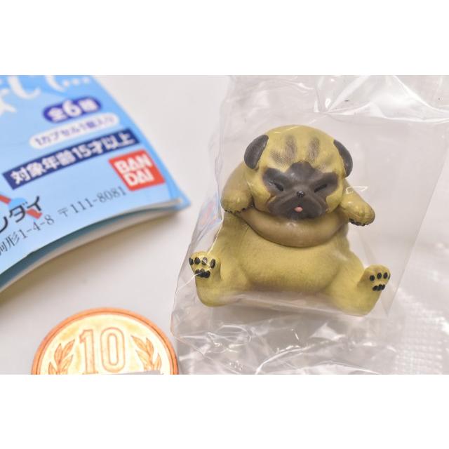 たべすぎまして 3 パグ アプリコット ネコポス配送対応 C トイサンタ Paypayモール店 通販 Paypayモール