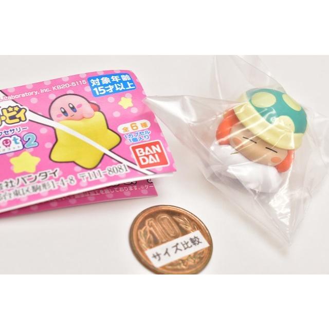 前部 鑑定 教育者 星 の カービィ 2 5 5 Reform24 Jp