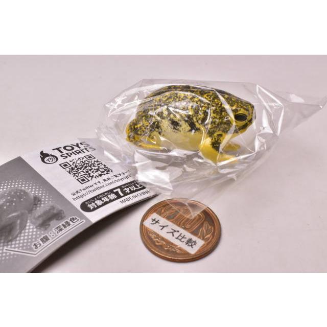 世界一かわいいカエル プニュプニュ きもかわ アフリカジムグリガエル マスコット 3 C 黄色 ネコポス配送対応 C トイサンタ Paypayモール店 通販 Paypayモール